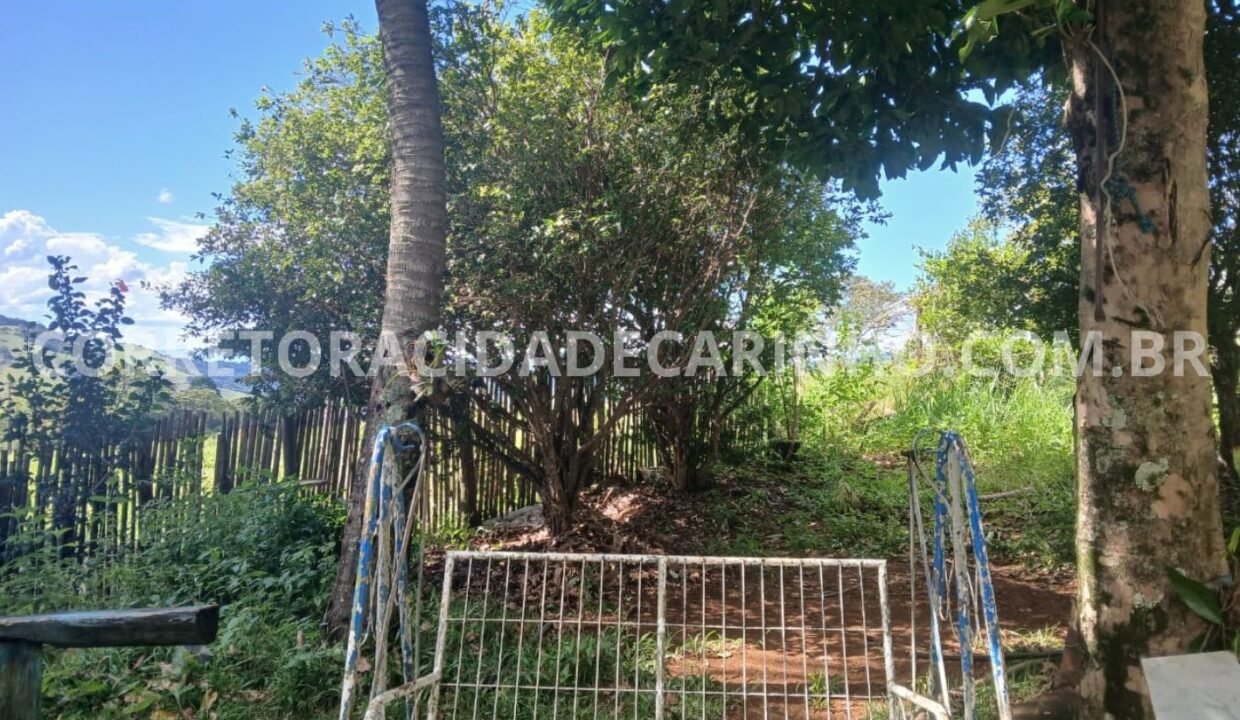 7784c3b5-6ad2-4e26-a224-a4e2ae325dfe