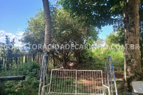 7784c3b5-6ad2-4e26-a224-a4e2ae325dfe