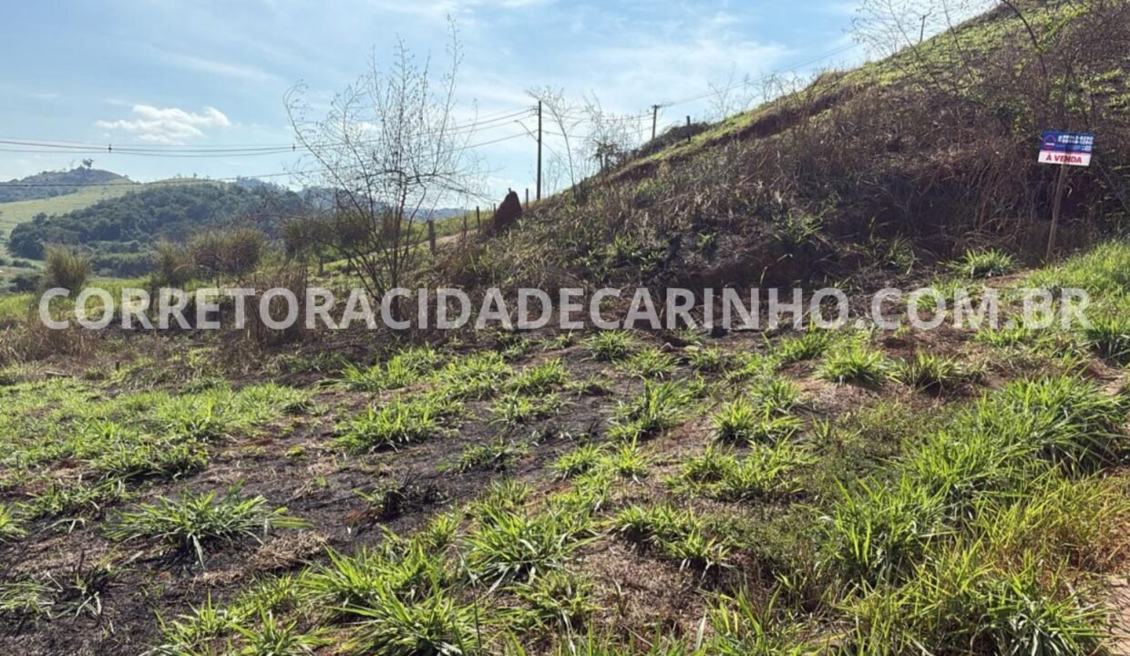 7b571cbe-da11-435d-9477-7ea3c314c326