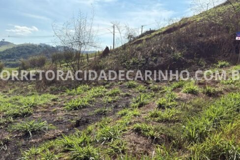 7b571cbe-da11-435d-9477-7ea3c314c326