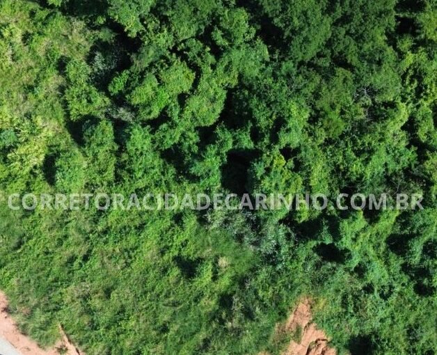 “CONHEÇA O ESPAÇO ONDE SUAS IDÉIAS GANHAM VIDA E FLORESCEM-UM REFÚGIO AO AR LIVRE”. EM CAMPESTRE