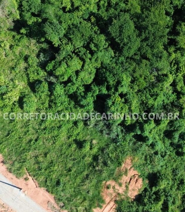 86cee6bc-f3e5-486b-8c32-2b05b143b3d2