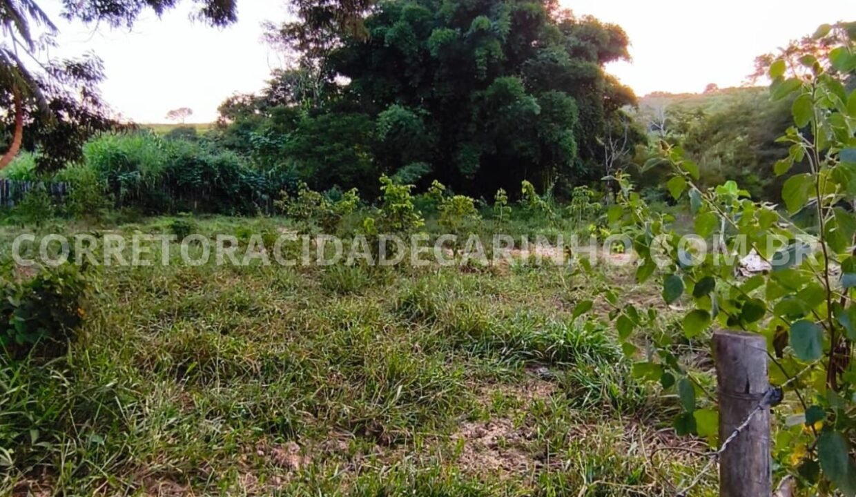 8f404c7a-3000-4487-8ad8-8a3afac45726