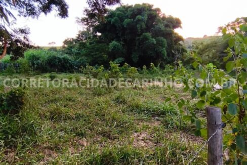 8f404c7a-3000-4487-8ad8-8a3afac45726