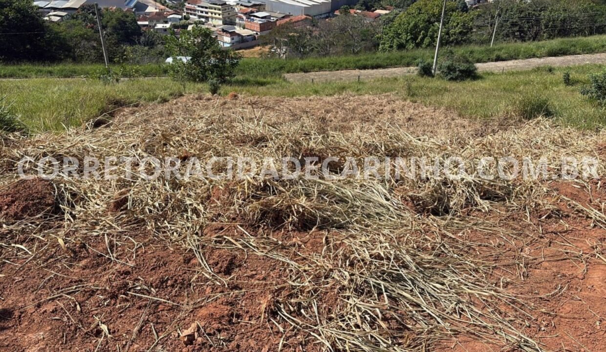 b0667ad9-5533-41af-9afa-5a65d95c0f15