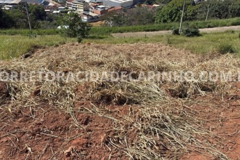 b0667ad9-5533-41af-9afa-5a65d95c0f15