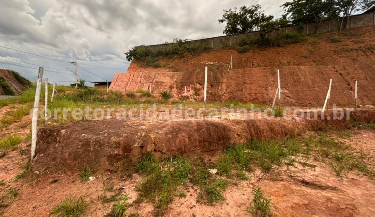 b184c4e6-7e04-4bcb-91cb-cfa77450e841