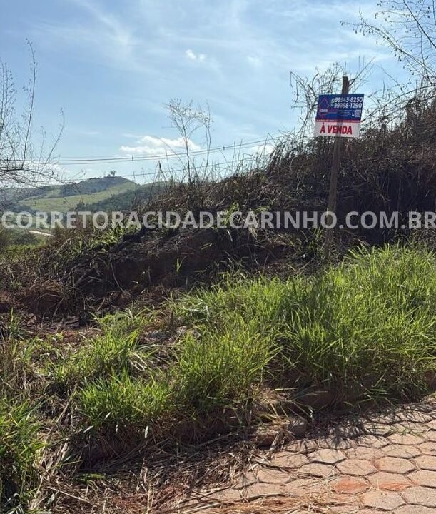 e63bf2d7-4c42-42fa-9728-9f19fb7f912b