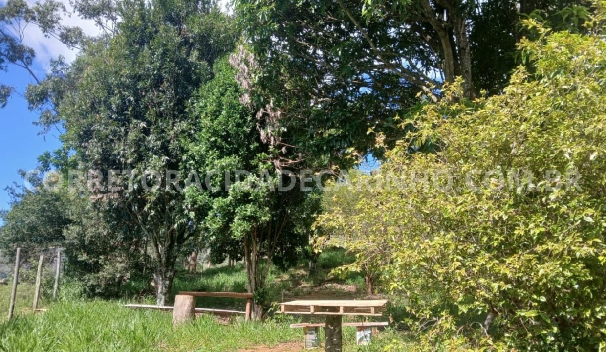 f3476a2b-f75c-4aed-9a38-c03a2d4e2814