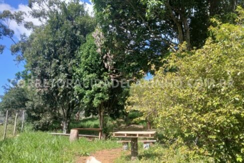 f3476a2b-f75c-4aed-9a38-c03a2d4e2814