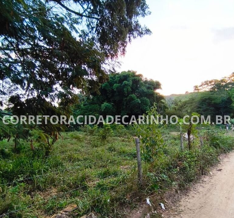 fb0859e8-4bc9-4936-9d86-27876c35708a